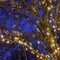 Perfect Holiday 100 LED String Lights Waterproof Outdoor Flashing